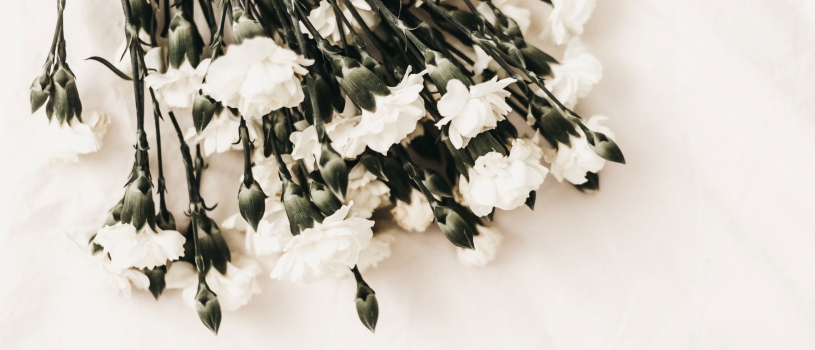 Sydney Funeral Live Streaming